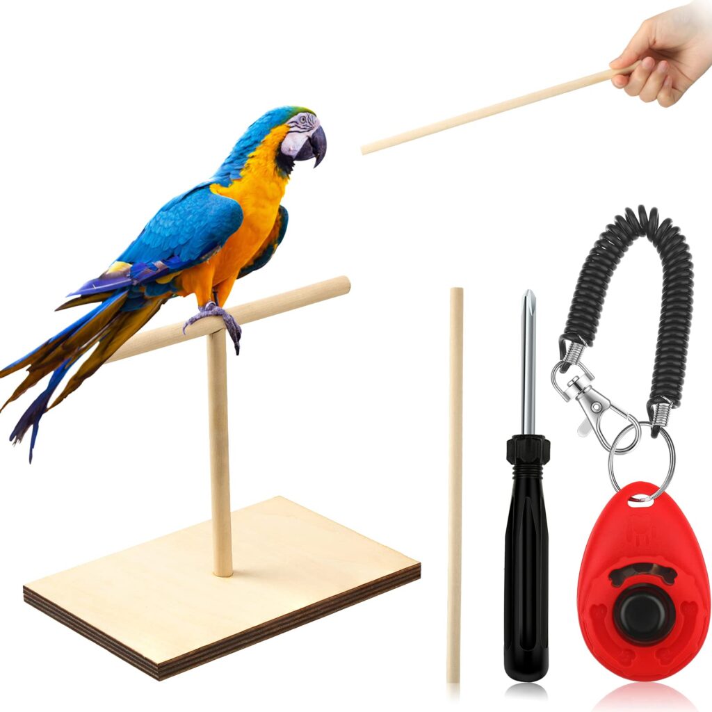 How to train a parrot